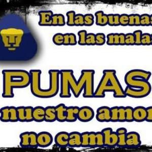 Meet your Posher, Ramirez